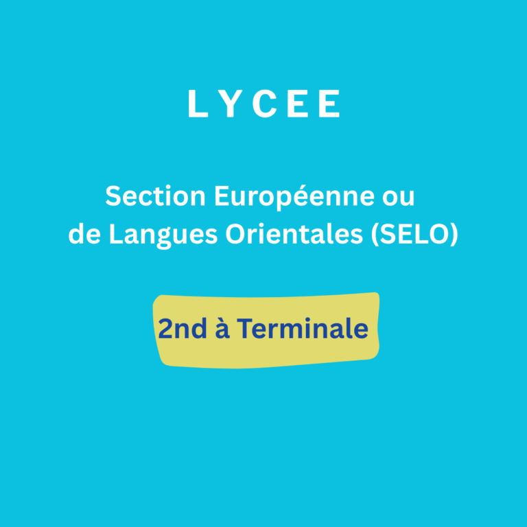 Lycee langue