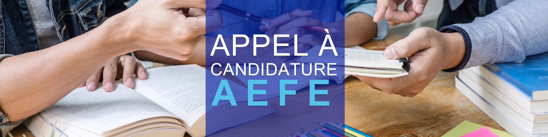 AEFE APPEL A CANDIDATURE