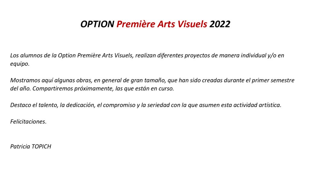 Option Arts Visuels 1ère 2022_page-0002
